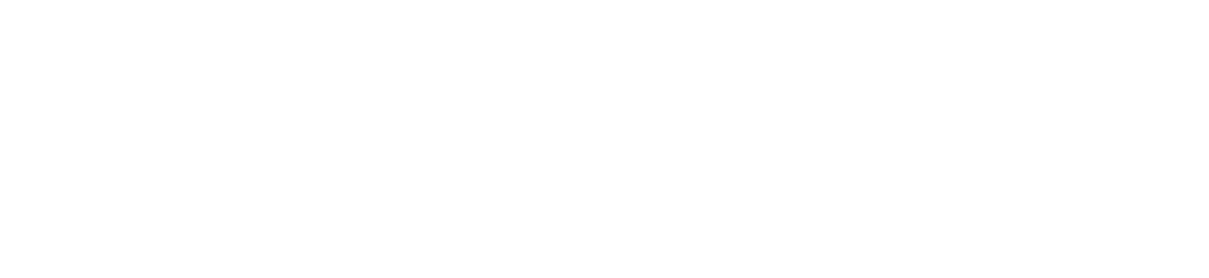 WSU Library System logo